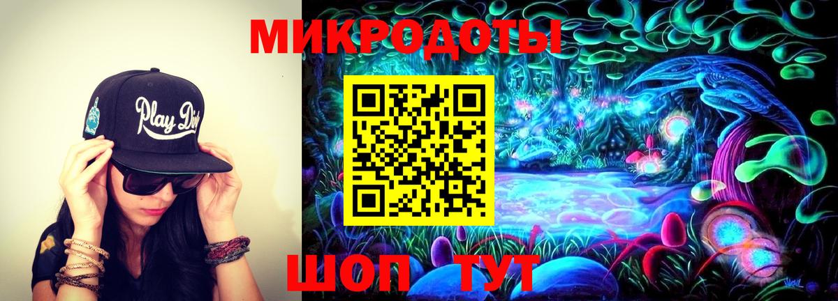 Галлюциногенные грибы Psilocybe Лесосибирск